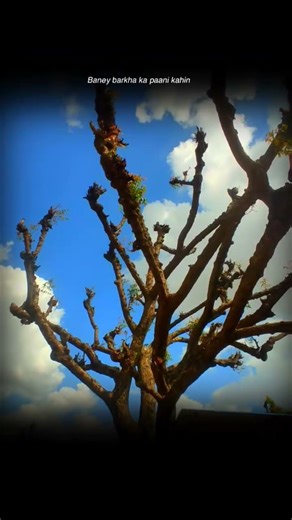 ~ Jag ghoomeya 💗🍁#love #trending #song #hindisong #nature #lyricsvideo #oldsong#sad#lyrics#viralsong