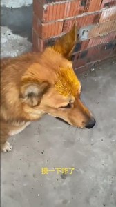 10 Easy Chinese Dishes You Can Master in Minutes