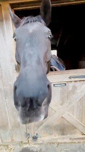 13K views · 370 reactions | Thomas logging on to hook you up with my...