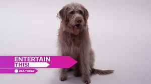 New Brandon Sanderson book on the way: What to know about 'Wind and Truth' and 'Stormlight Archive'