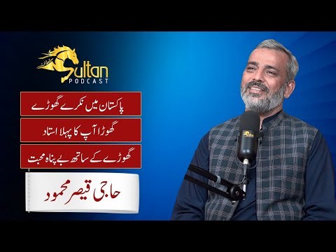Haji Qaisar Mehmood || The Horse Is Your First Teacher — Learn Respect & Patience Before The Ride