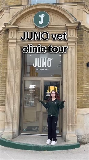 Welcome to Juno Vet! From comfy consult rooms to top-tier surgery and dental care, we’ve got your pets covered. Come take a tour with us 🚪 | Juno Veterinary