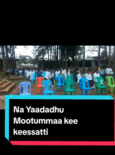 #creatorsearchinsight #fyyyyyyyyyyyyyyyy #miidiyaa_sootiriyaa #Tv_sagalee_dhugaa @Dn Dagnachew Girma_Nehemiah @WALDAA GODAANSA FAN NO lJOOLEE @Chaltu orth¹⁹ @Tamrat Indris Nanib @@Luba Fayyeeraa-F@2127 @Luba Badhaasaa Tolaa @Burte bekere @Dämêê Åłèétìÿãā📖 @Luba Bedene Chala @ABERA O² G/Silaase #VoiceEffects