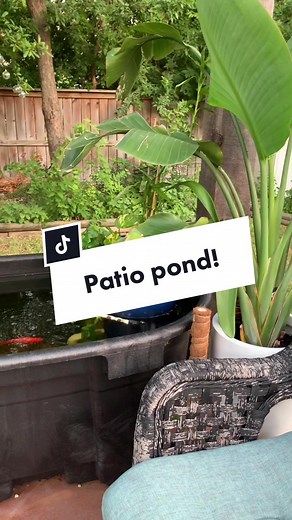DIY Patio Pond Building Guide