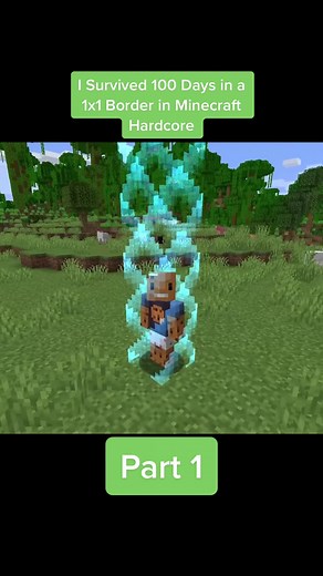 i survived 100 days in a 1x1 border in hardcore minecraft #minecraft #hardcore #letsplay #fyp