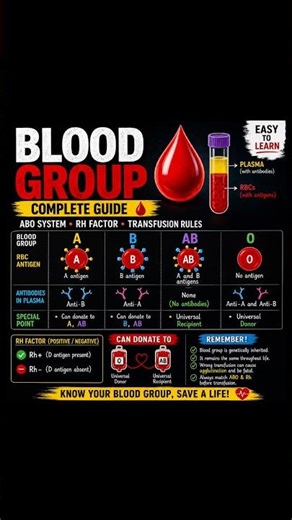 🩸 Blood Group Basics Made Easy!