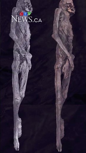 Archeologists scan 2,000-year-old ice mummy sporting tattoos