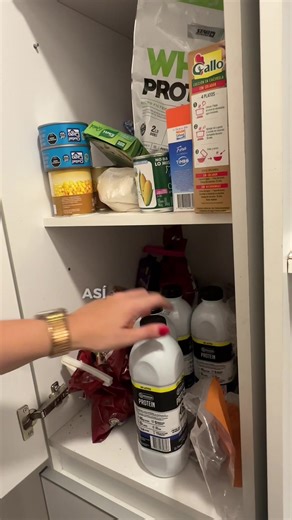 Lo necesitas para organizar tu cocina 🙌🏼✨ #cocina #organizacion #alacena #hogar #bazar