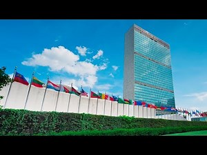 'Build Back Better' used to push 'eco-Marxist, anti-capitalist UN agenda'