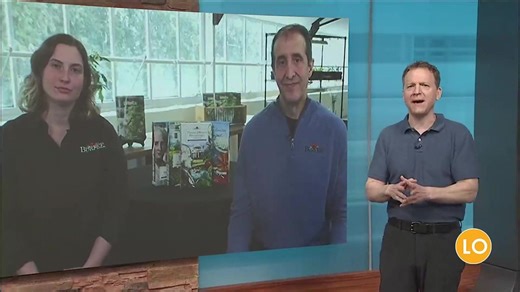 Burpee’s 150-year legacy blooms with fresh seed collections and garden advice