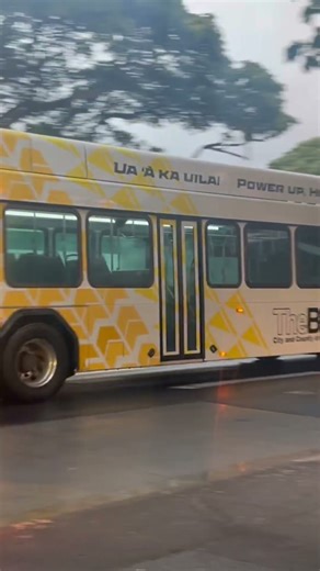 TheBus Honolulu Bus 4009 Route 83 Express Downtown