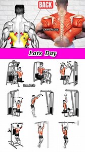 ✅ Lats Workout at Gym #fitness #gym #exercise #workout #workoutroutine #fitnesstips #exercisetips #bodybuilding #lats #latsworkout | Sanu Packs