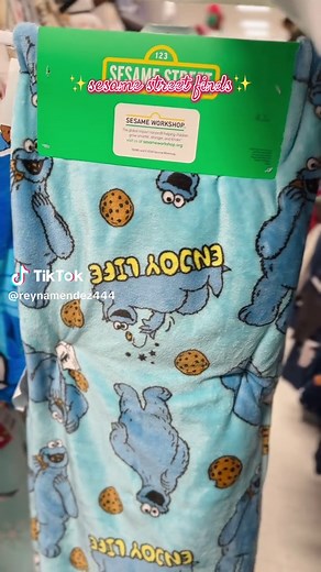 Sesame Street Blankets at TJ Maxx: Unique Finds