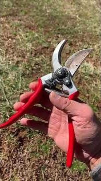 FELCO F 2 Pruners Review – Best Manual Garden Shears for Precision Cutting