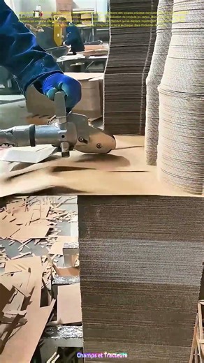 Le découpage précis : Comment une machine transforme le carton en œuvre d'art