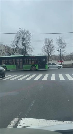 City Flow: Urban Transport in Motion