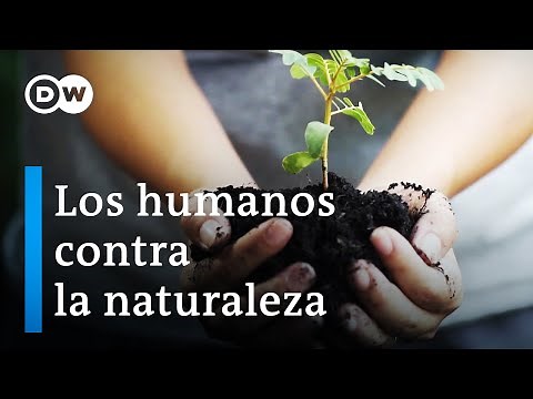 ¿Qué pasa cuando hay escasez de agua? | DW Documental
