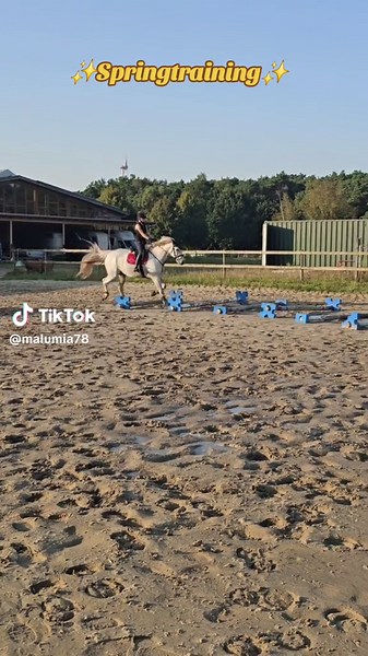 Springtraining für Kinder im Pferdesport