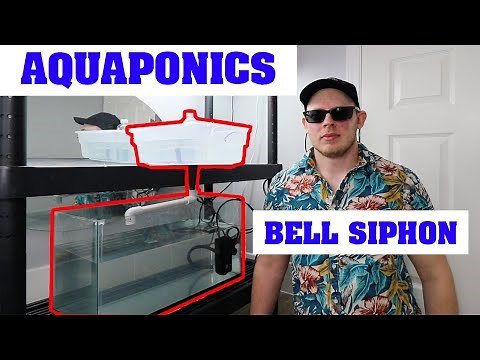 How an Automatic Bell Siphon Works / Troubleshooting - Aquaponics