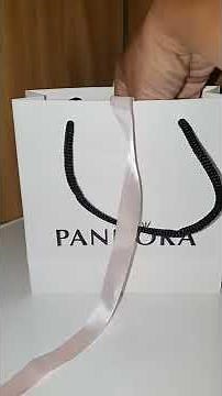 pandora reflexion silver bracelet