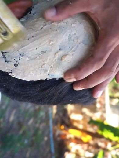 4.9K views · 23 reactions | Very dandruff treatment for cleaning #DandruffScratching #ItchyDryScalp #HugeFlakes #Dandruff #dandrufftreatment #satisfying #dandruffremoval #fblifestyle Disclaimer: Videos do not show original Dandruff,they are used for education purpose. Thank You,,, | Hit's | Facebook