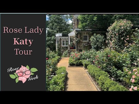 🌹Rose Katy Garden Tour / Magnificent Climbing Roses /7b