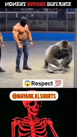 #lifeisbutadream #nobatidao #trend #haveitoldyoulatelythatiloveyou #funnyvideo #memes #viralbaby