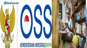 Cara Buat Akun Di Aplikasi OSS Untuk Keperluan Mendaftar UMKM Secara Online! - Tribunpontianak.co.id