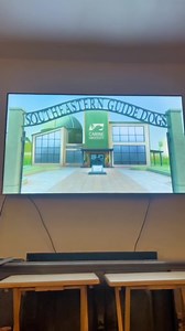 Guide dogs mean so much to the visually impaired community. They help the community get around freely, see their loved ones more often, and experience life to the fullest. Learn more about Pip and watch the full video in the link below. 🐾 Guider, Beacon, Braille and Pip each come with their own special name, short poem and name in braille in their ear. 💯 of all profits for these pups go to Foundation Fighting Blindness along with EXTRA donations going to Guide Dogs for the Blind. | Two Blind B