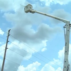 7.5K views · 44 reactions | Rescue the leopard stuck on the electric pole | Halal Japan | Facebook