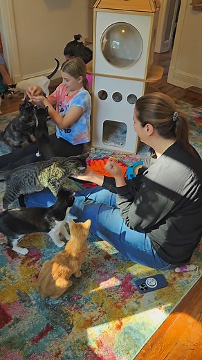 81 reactions · 12 shares | Feeling stressed? The cats at Right Meow have the purr-fect prescription... kitty cuddles, headboops, and gentle purr therapy. It’s time to book your cat therapy session and let the whiskers work their magic! #RightMeowCatCafe #Purrscription #CaturdayEveryday #CatCuddleTherapy #WhiskerWellness #MeowMeditation #StressReliefWithCats #FacilitateRescue #SelfCareWithCats | Right Meow Cat Cafe | Facebook