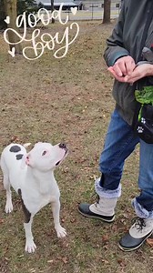 12K views · 572 reactions | We're trying to figure out the best way...