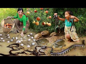 Catch and cook fish for food/ Boiled turtle soup and grilled fish- Cooking snail spicy for dinner