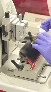 U of T LMP tours - What happens in the pathology lab?