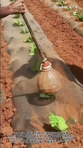 ペットボトル再利用！苗木を守る給水システムの作り方 #worker #process #farming #diy #agriculture