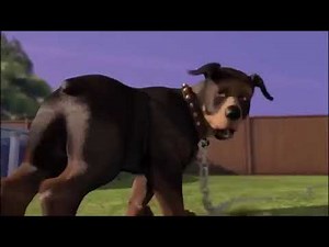 over the hedge car explosion