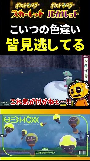 【ポケモンSV】ズピカの色違いが小さいのに変化なさ過ぎて色厳選の難易度爆上がりｗ色違いハラバリーにも進化!!【スカーレット】【ポケモン】【切り抜き】【色違い厳選】【色違いポケモン】#shorts