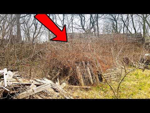 Her Neighbors TRASHED IT! STUNNED with What we FOUND BURIED in this Overgrown Grass