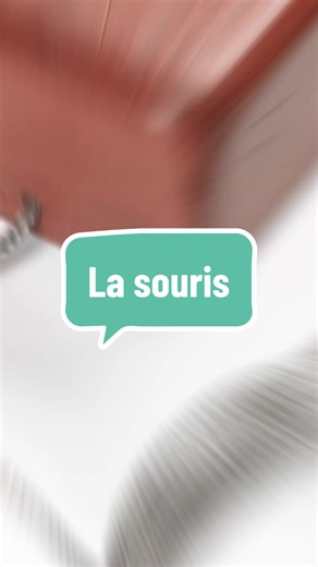 L’histoire de la souris d’ordinateur 🐭