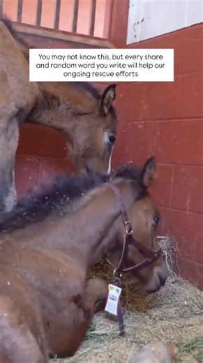 Sarah Doyle🐶 (@sarah.doyle82)’s videos with original soundSarah Doyle🐶