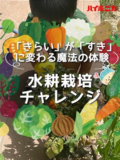 【 #ハイポニカ 】「きらい」が「すき」に変わる魔法の体験 水耕栽培チャレンジ【 #水耕栽培 】
