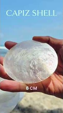 DIY Seashell Craft Ideas Using Capiz Shells | Elevate Your Home Decor #capiz #craftideas