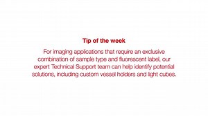 Imaging made easy - EVOS Tip #36 - Scientific Videos | Thermo Fisher Scientific US