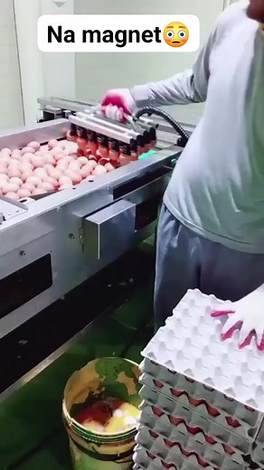 978K views · 3.8K reactions | Na magnet yong itlog #Amazing #eggs | William tv | Facebook