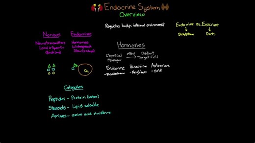 内分泌系统Endocrine System