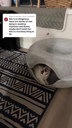 Replying to @peachie_foxx PSA. Thank you! #catsoftiktok #gandalfthecat #catmom #catdad