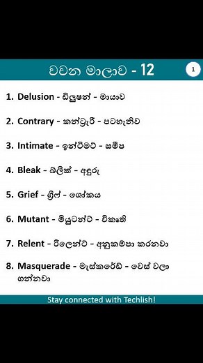 Learn 16 advanced English vocabulary words with their Sinhala meanings! Perfect for students, teachers, and anyone improving English for exams or spoken English. Watch, learn, and save this reel for daily practice. Words included: Delusion, Contrary, Intimate, Bleak, Grief, Mutant, Relent, Masquerade, Benevolent, Lethargic, Dissertation, Devastate, Mankind, Conspiracy, Hollow, Insist 👉 Follow for more quick English Sinhala learning content! 📚✨ Improve your English every day! #EnglishSinhala #E