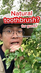 158K views · 4.2K reactions | Kalios as natural toothbrush | Ethan Hernandez | Facebook