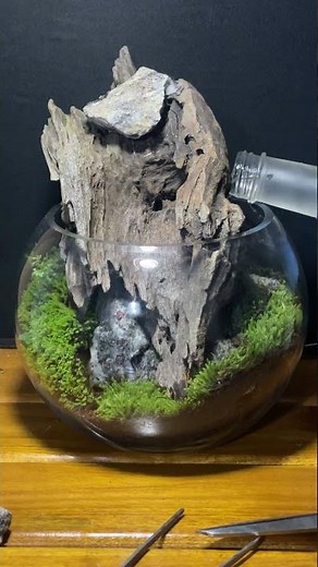 🌳Creating a Living Mini Waterfall🌊 at Home. #waterfall #terrarium #shorts