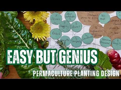 A low tech way to design a garden that actually thrives